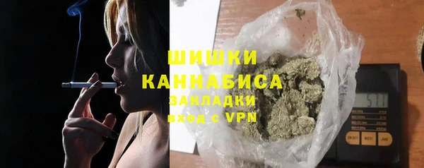 бошки Бородино