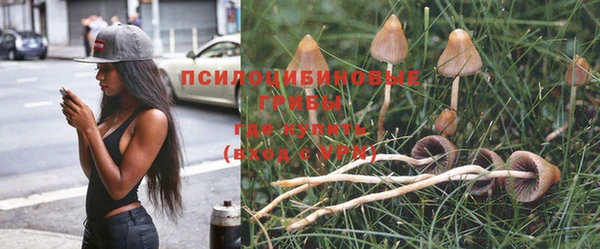 дмт Бугульма
