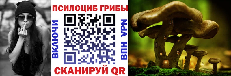 Галлюциногенные грибы прущие грибы  наркотики  Менделеевск 